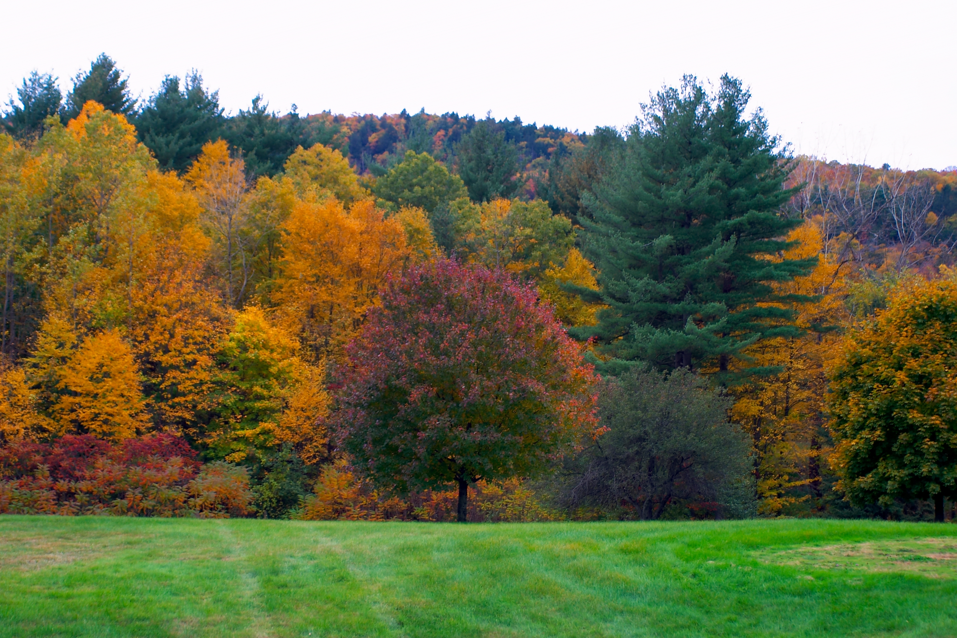 Fall 2004 08CF