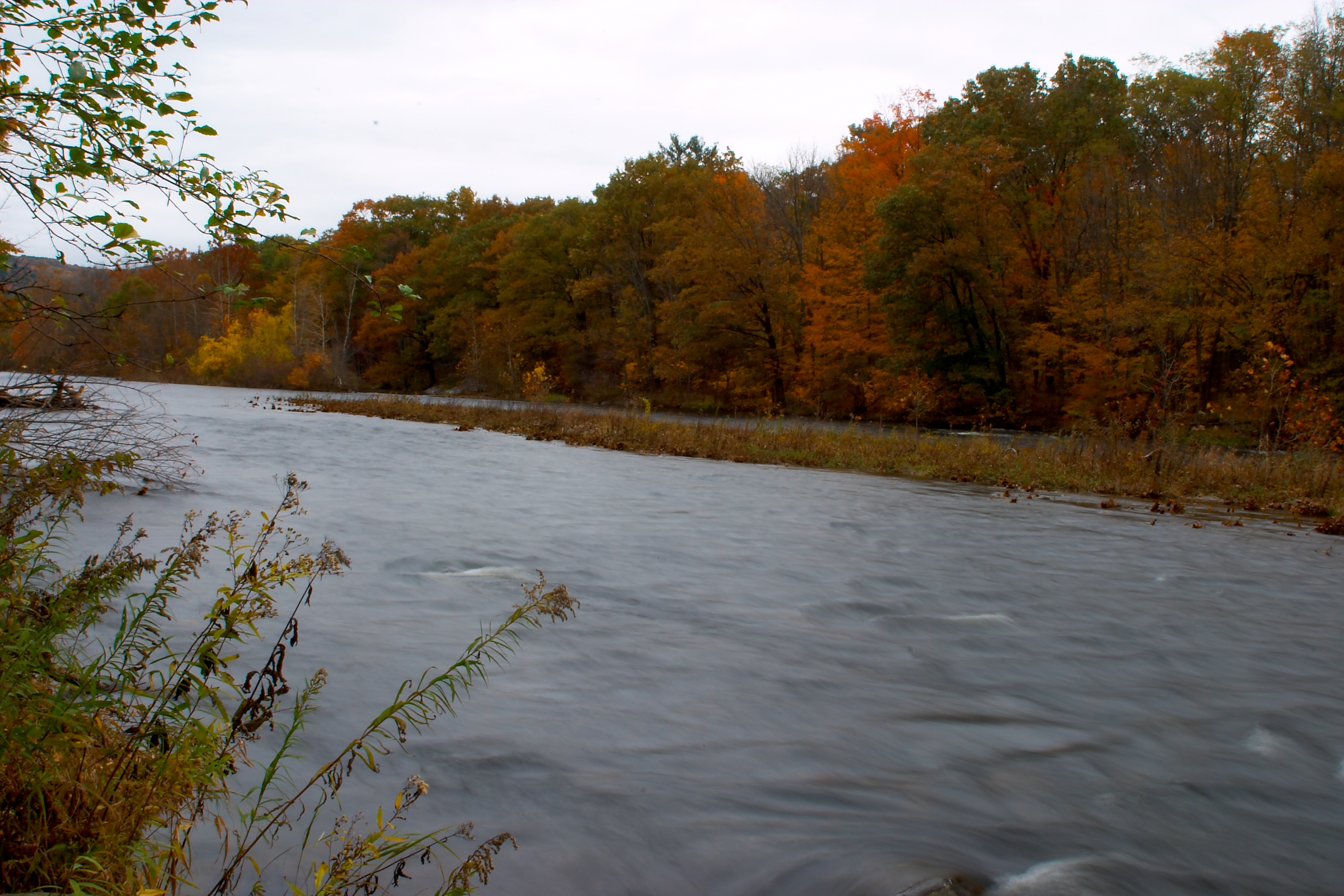 Fall 2004 13CF