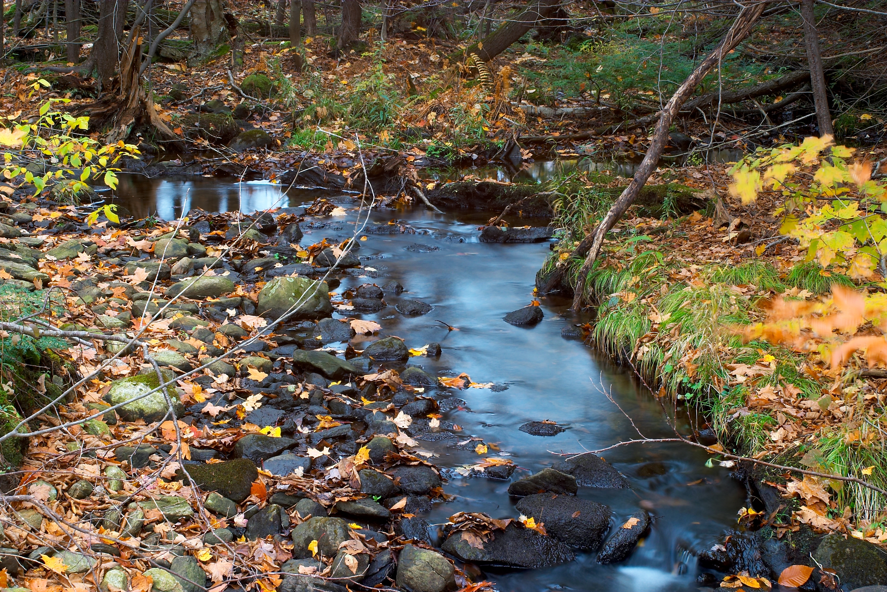 Fall 2004 41CF