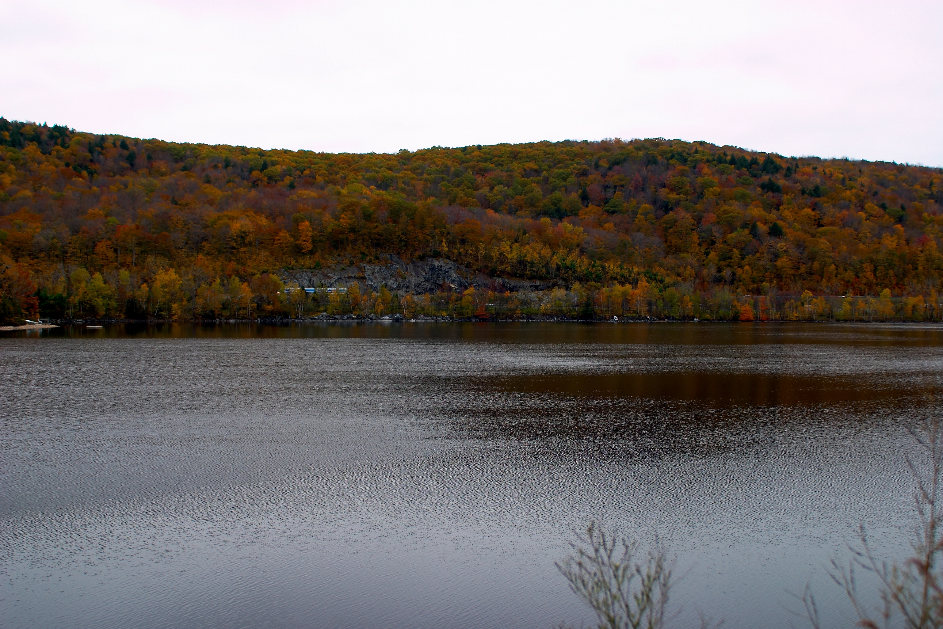 Fall 2004 69CF