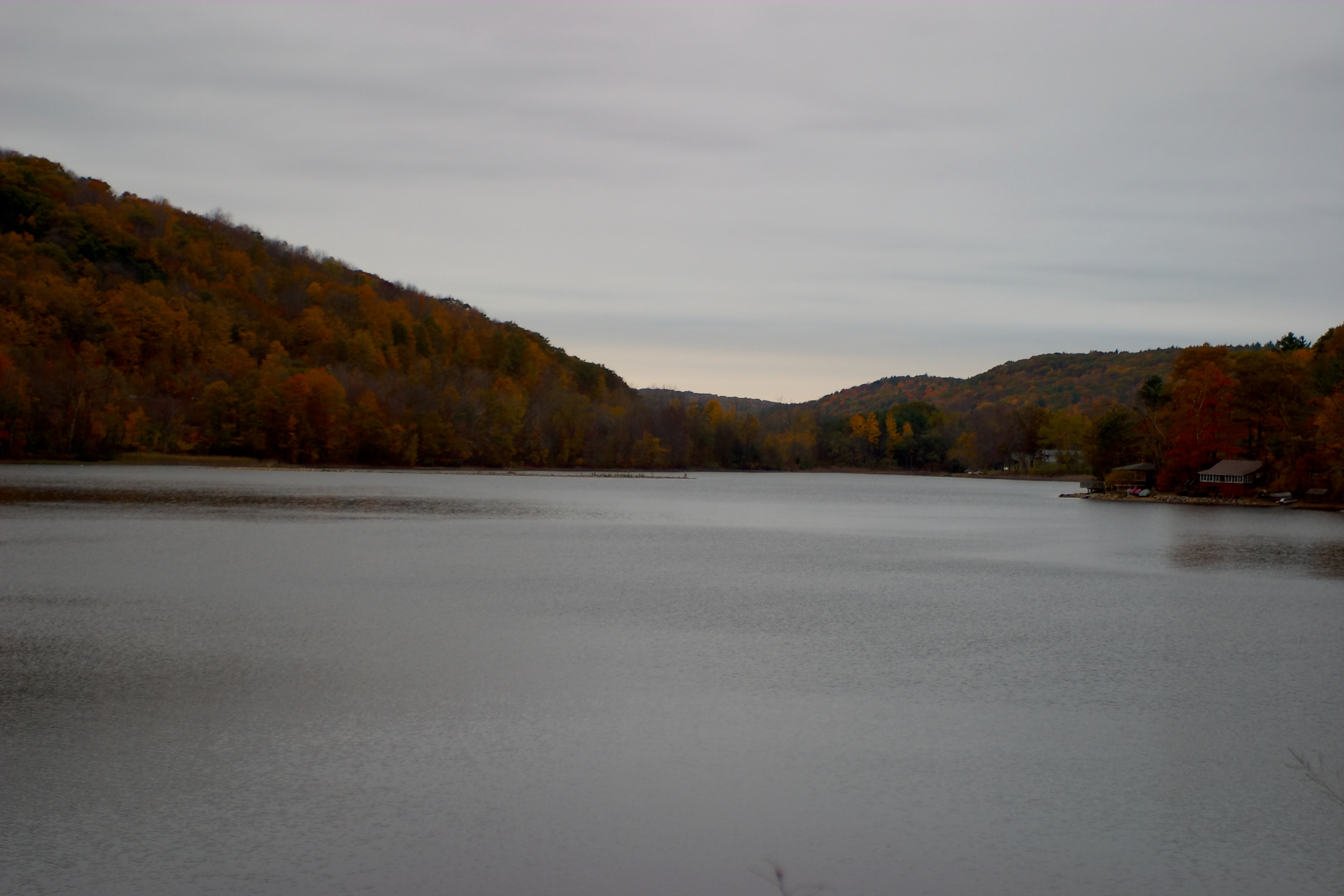 Fall 2004 73CF