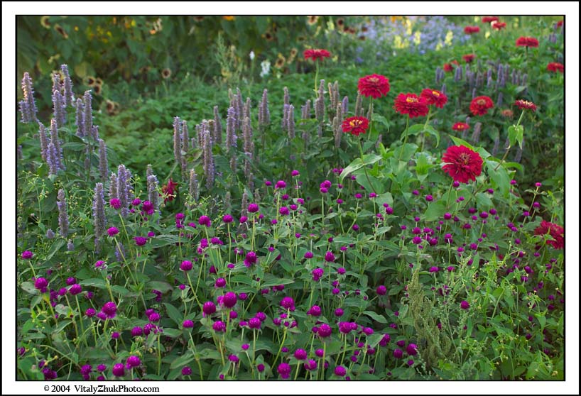 FlowersSouthwick2004 039CWX