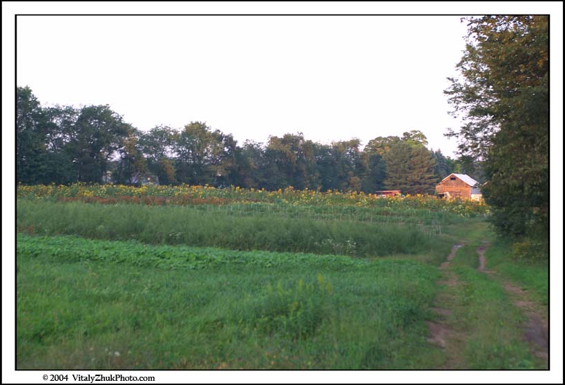 FlowersSouthwick2004 084CWX
