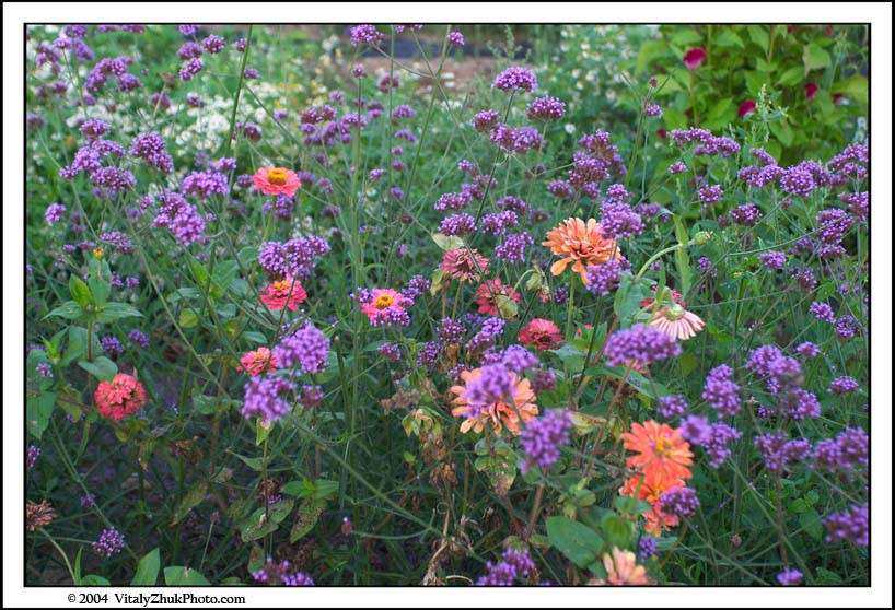 FlowersSouthwick2004 112CWX