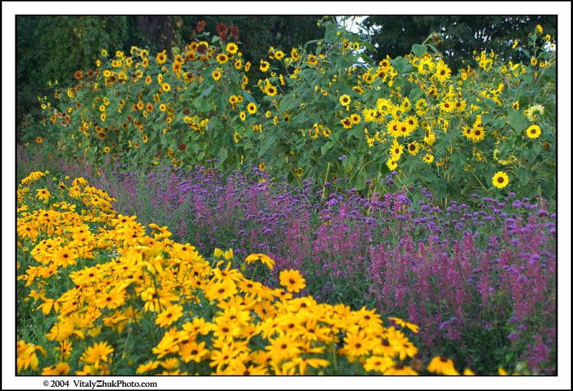 FlowersSouthwick2004 115CWX