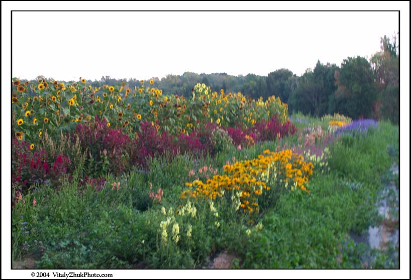 FlowersSouthwick2004 123CWX