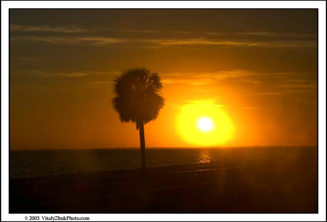 FloridaNov2005 026CWX